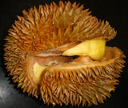 durian_splitting.jpg