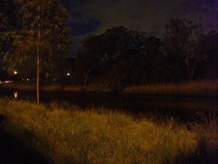 yarra_night.jpg