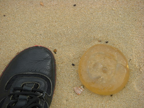 jellyfish shoe